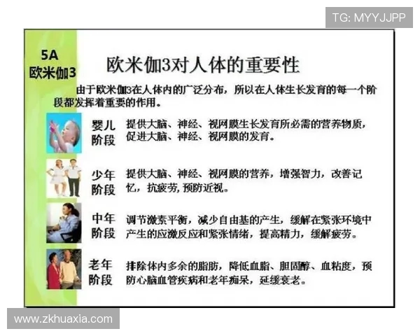 健身训练计划与营养搭配指南 助你塑造理想身材的科学方法